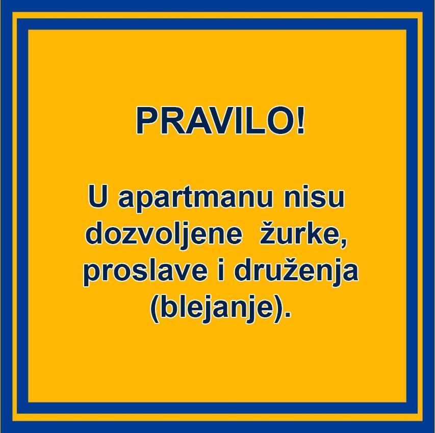 Dalija * Novi Sad